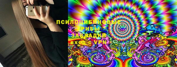 spice Алзамай