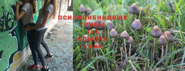 стаф Алексеевка