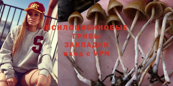 стаф Алексеевка