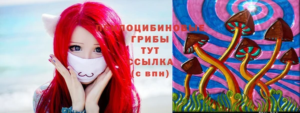 стаф Алексеевка