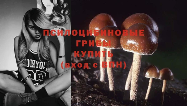 spice Алзамай