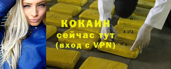 spice Алзамай
