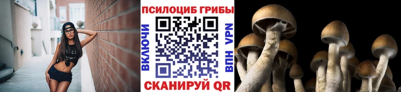 Галлюциногенные грибы прущие грибы  Купить  Курган 
